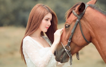 亚洲欧美韩国:黄色十大软件